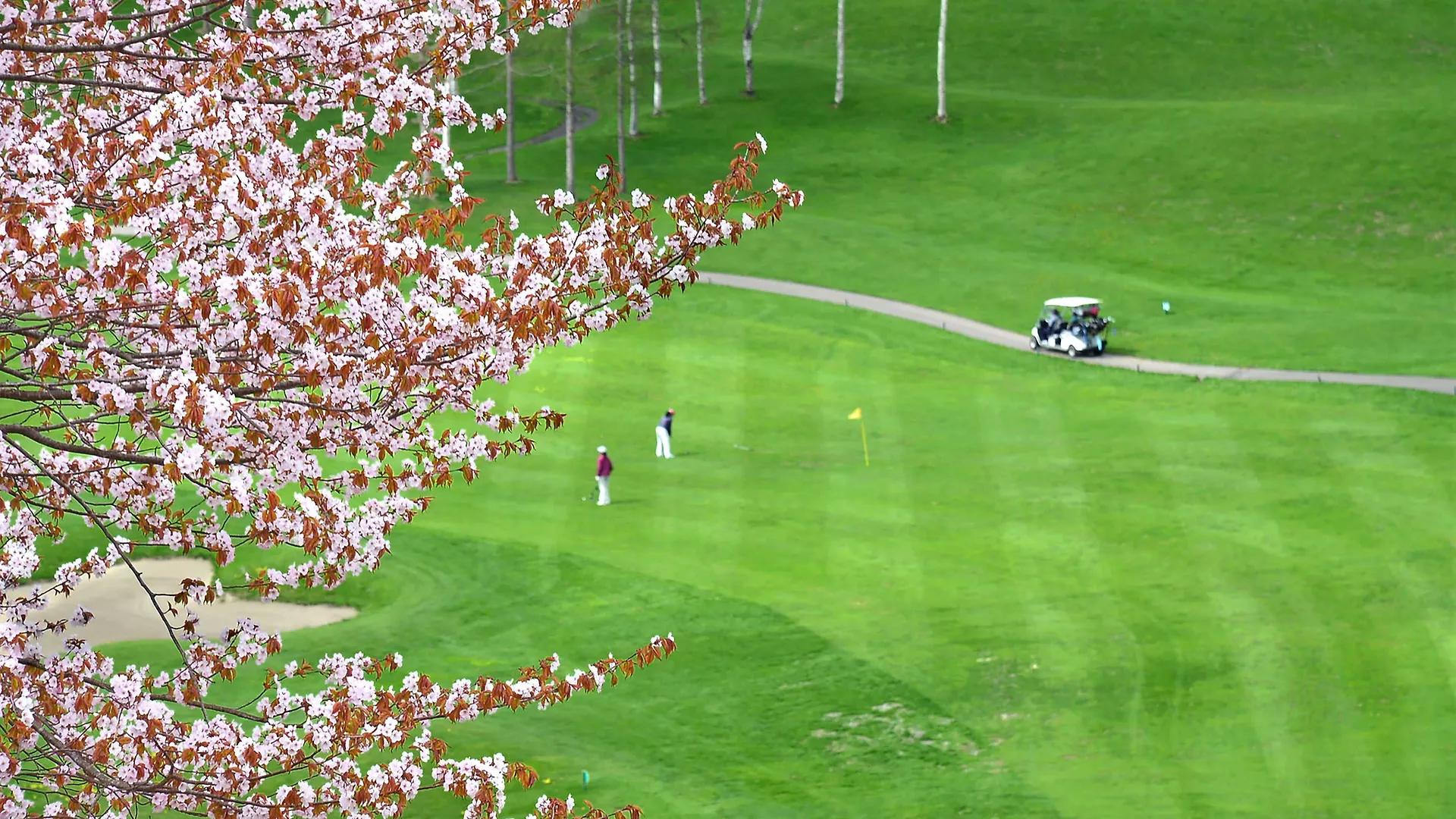 Hilton Niseko Village אתר נופש